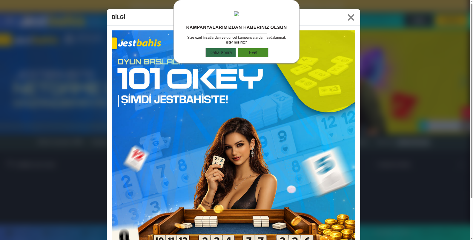 jestbahis 112653 13